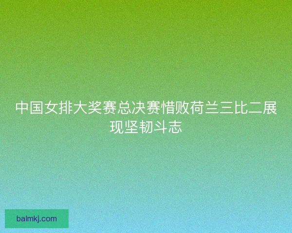 中国女排大奖赛总决赛惜败荷兰三比二展现坚韧斗志