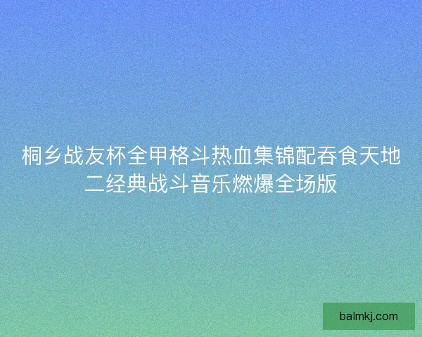 桐乡战友杯全甲格斗热血集锦配吞食天地二经典战斗音乐燃爆全场版