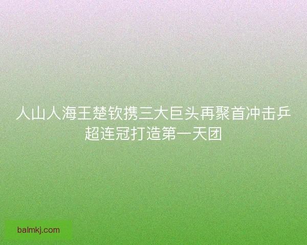 人山人海王楚钦携三大巨头再聚首冲击乒超连冠打造第一天团